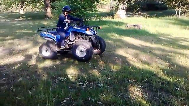 First riding quad Yamaha Детские покатушки на квадроцикле Yamaha смотреть онлайн