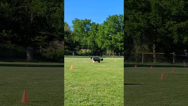 week 2 disc league. смотреть онлайн