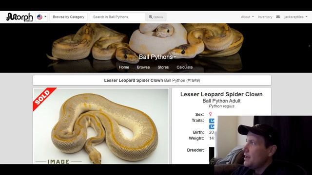 Image Reptiles Ball Python Morph Combos | Breeder's Spotlight | Jack's Reptiles смотреть онлайн
