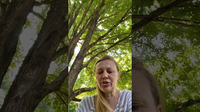 Последние новости. Важные факты. Влад Бахов смотреть онлайн