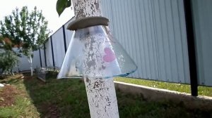 тля на груше и помогают ли известные способы борьбы  с ней