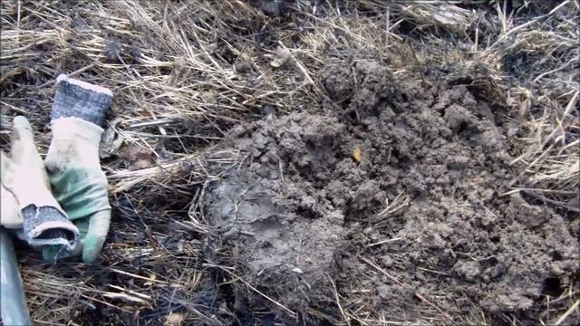 ПРО_КОП_15: По новым местам смотреть онлайн