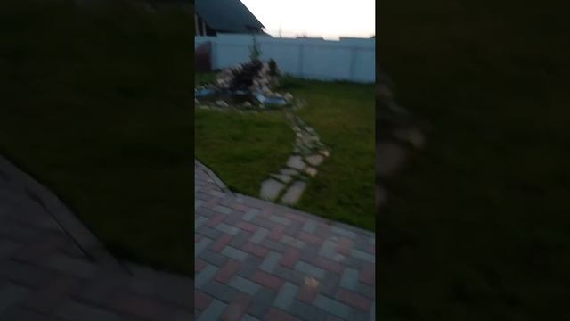 Ловим майских жуков смотреть онлайн