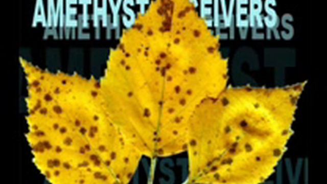 Amethyst Deceiver смотреть онлайн