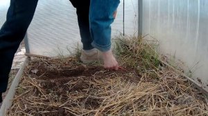 ДОРОЖКИ ИЗ СТАРОГО КИРПИЧА