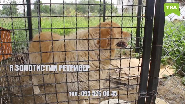 Візьми друга №17 смотреть онлайн