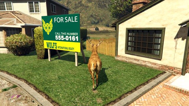 пейот в GTA 5 Превращение в животных смотреть онлайн