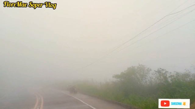 Our Road Trip Encounter Fog/Cafe Alicia /FloreMae Soper Vlog смотреть онлайн