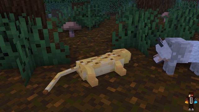 Ocelot & Wolf Life V - Minecraft Animation