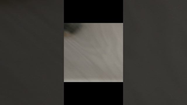 1000075948.mp4