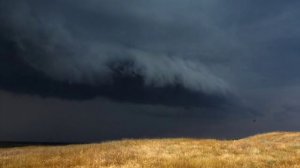 Виктор Жалсанов - Наян Наваа