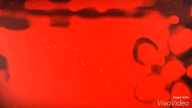 Скрапбукинг 2016 / 8 марта ♡♥ смотреть онлайн