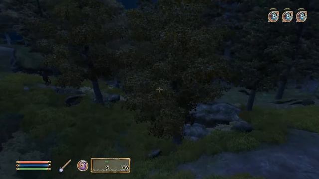 The Elder Scrolls IV: Oblivion Walkthrough Part 110 - Namira смотреть онлайн