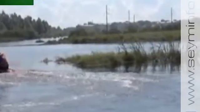 Обращение губернатора Курской области к предприятиям, организациям, бизнес сообществу и курянам смотреть онлайн