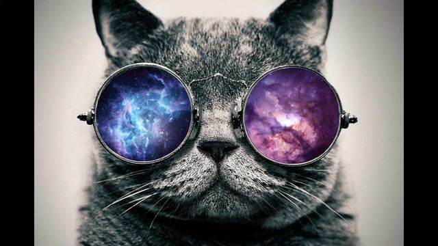 Коста&Лакоста-Cosa Nostra