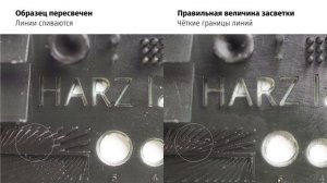 Лайфхак: Как читать тест HARZ Labs с Павлом Курдюмовым