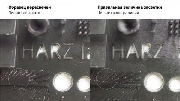 Лайфхак: Как читать тест HARZ Labs с Павлом Курдюмовым