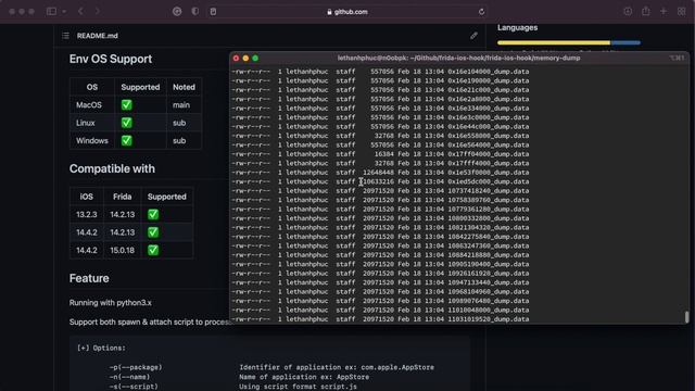 Frida iOS Hook | Basic Usage | Dump Decrypt IPA - Dump Memory App - Hexbyte-Scan IPA смотреть онлайн