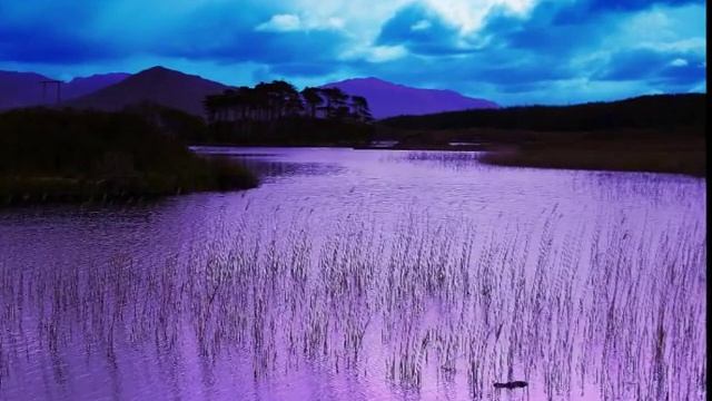 Magic Night (Волшебная ночь) смотреть онлайн