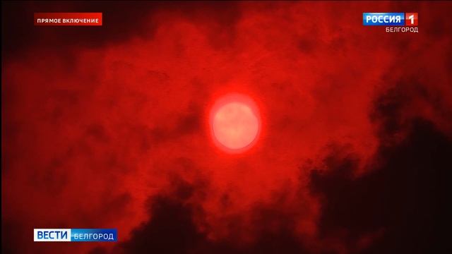 Жители Белгородской области увидели первое за 55 лет кольцеобразное солнечное затмение смотреть онлайн