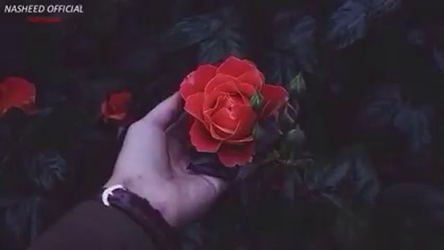 Самый, самый, самый мощный Нашид.?Это тот Нашид который ты искал!??? смотреть онлайн
