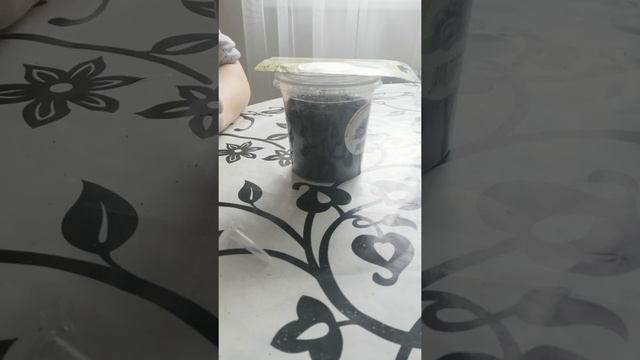 Ситник(Блю дарт) смотреть онлайн