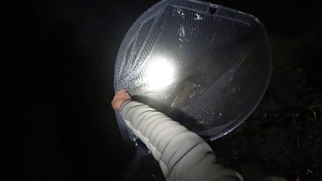 Ловлю Амурв на свои САМОКАТЫ поздней осенью.mp4