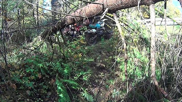 Бронницкий Тракт 08.10.17.mp4