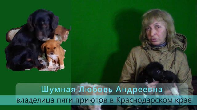 Спасли щенков из трубы