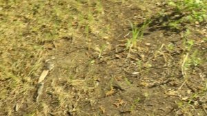 Рыбалка в Томской области. 300км. на север от Томска.