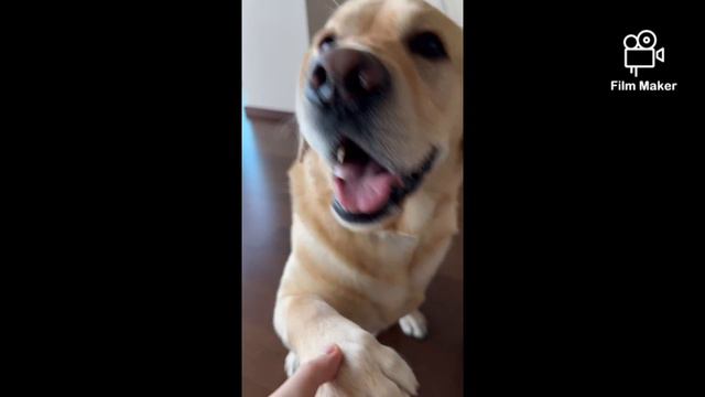 Лучшие видео Дэни Мэни