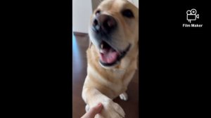 Лучшие видео Дэни Мэни