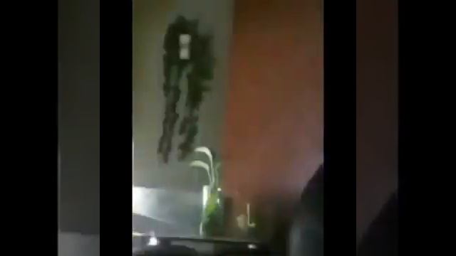 @Если Вам скучно дома, то заведите себе котика... смотреть онлайн