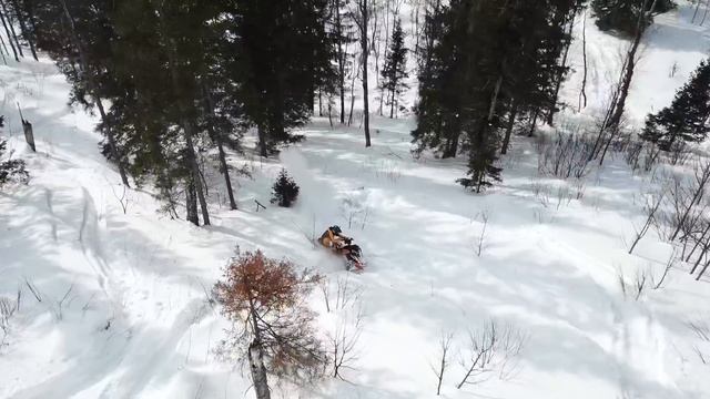 БЕДЯРЫШ 16.03.18 смотреть онлайн