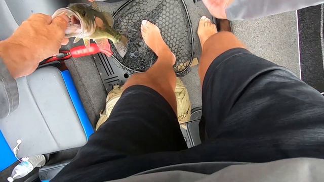 2021 BFL Tournament #5, Lake Hamilton смотреть онлайн