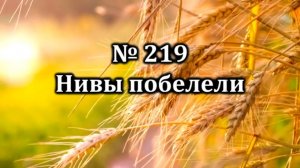 Нивы побелели | Источник хвалы № 219 | Караоке плюс | Христианские песни | Гимны надежды
