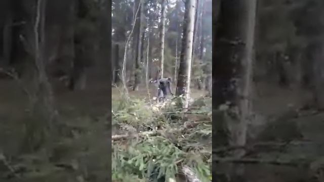 OZER0613 смотреть онлайн