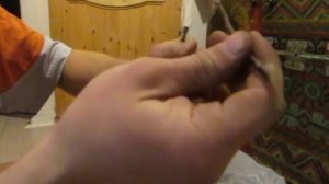 Черенкование и укоренение магнолии