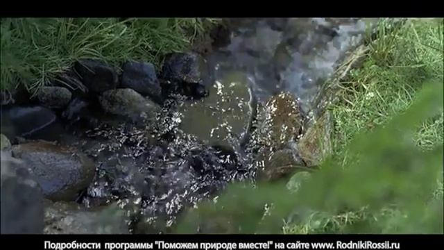 Видеоролик Родники России, 20". 2013 г смотреть онлайн