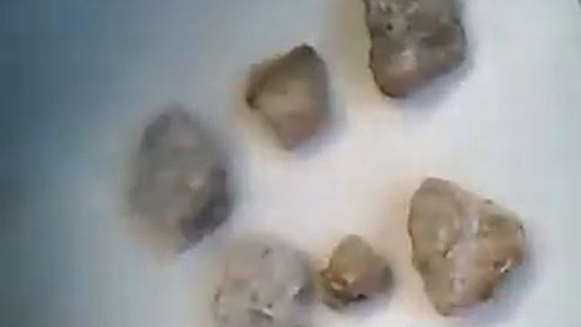 my pet rock family смотреть онлайн