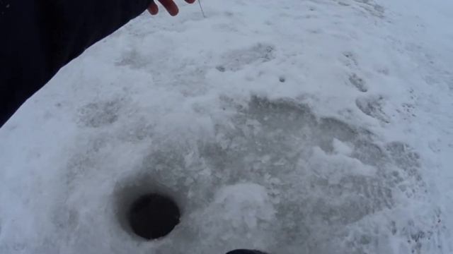 Ловля карася зимой на мормышку или как поймать рака на мотыля!? смотреть онлайн