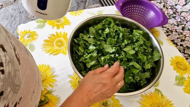 Ух ты !! ..и снова Пирожки со щавелем и яблоками! смотреть онлайн