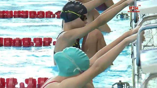 В Саранске проходят чемпионат и первенство Мордовии по плаванию смотреть онлайн