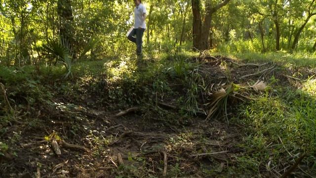 The Real Work of Slaves: Levi Jordan Plantation смотреть онлайн