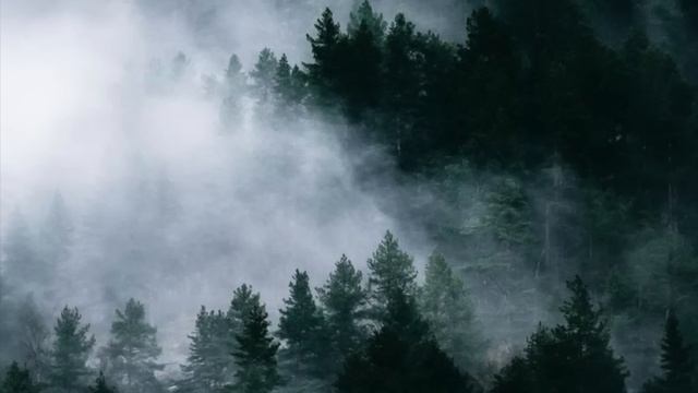 a cozy twilight playlist for studying, writing and reading смотреть онлайн