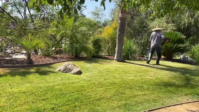 Cleaning | Mowing The Lawn | Fertilizer