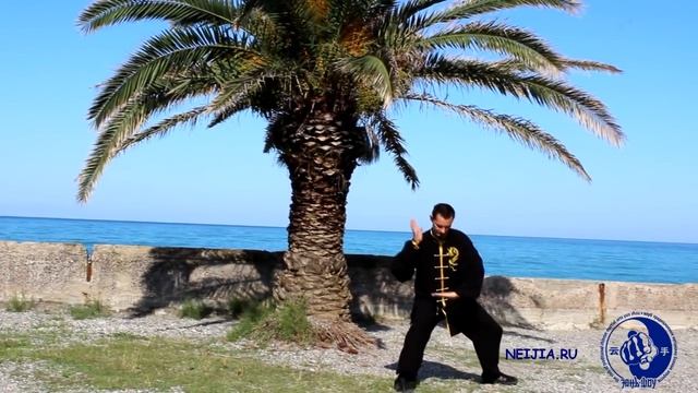 Chen Shi Taijiquan 18 Forms / Чэнь ши тайцзицюань 18 форм