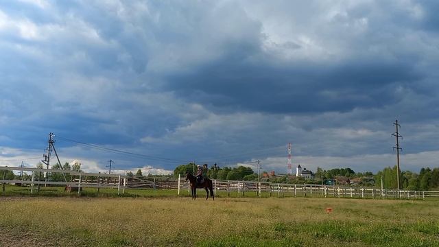 две сонные мухи и гарроча смотреть онлайн