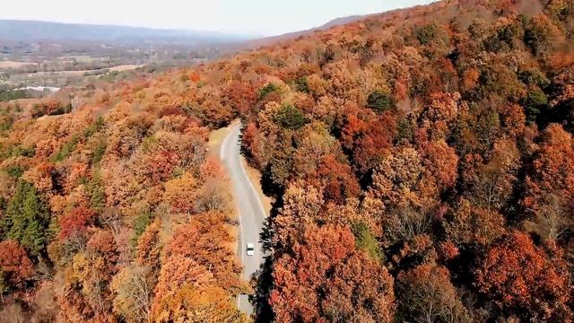 КРАСКИ ОСЕНИ (Осенние пейзажи, красивая мелодия) смотреть онлайн