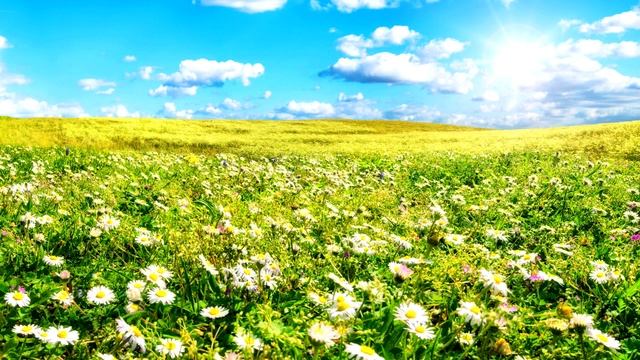 Нежный и крепкий СОН, глубокий релакс и успокоение нервной системы | Красивая сказочная музыка смотреть онлайн